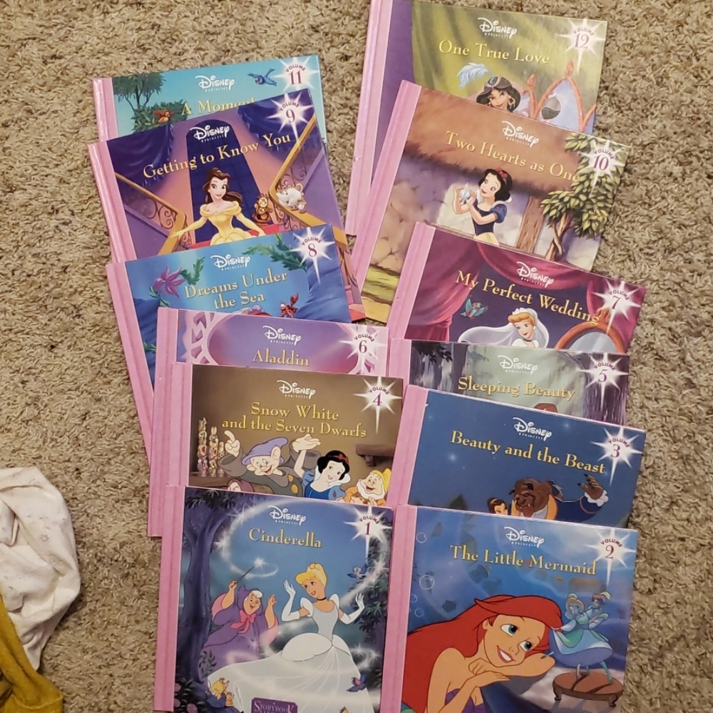 Princess book bundle